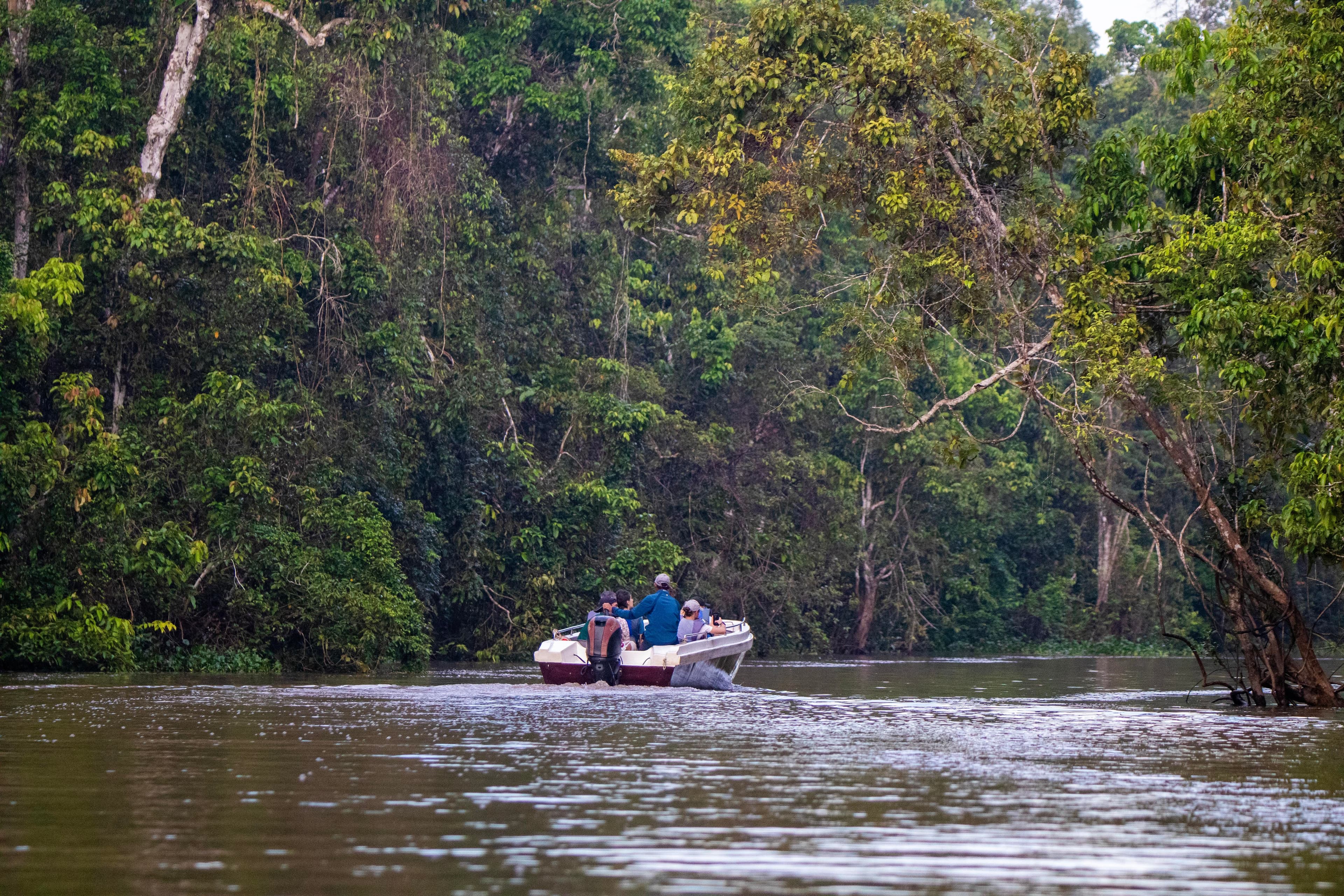 2D1N KINABATANGAN RIVER CRUISE